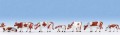 NOCH 15723 Cows - Brown & White 'H0'